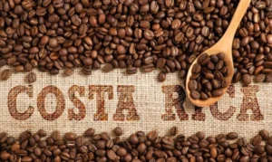 Beans, Volcanoes & Pura Vida: A Costa Rica Coffee Legacy