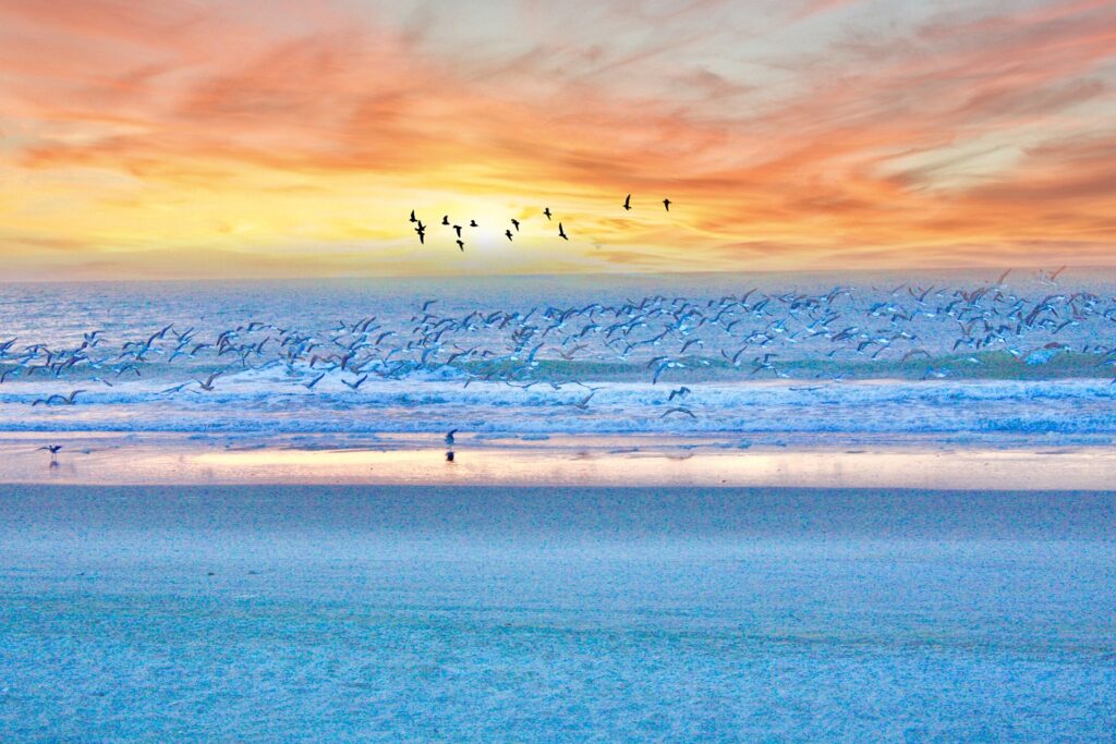 sunrise at myrtle beach with birds flying over the waves - Image by Jamie Garvin from Pixabay.
