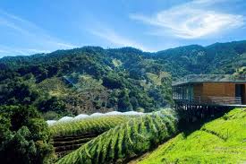 mountain top wineries in Costa Rica