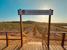 altovista island winery in aruba