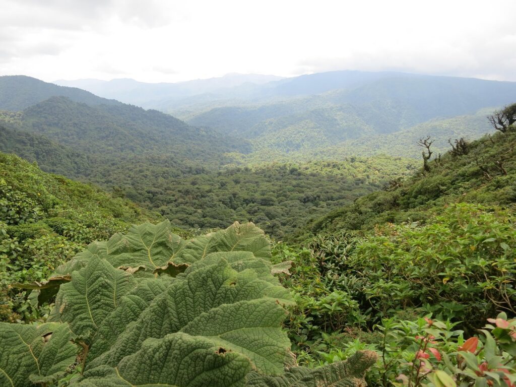 Mountain view, Costa Rica