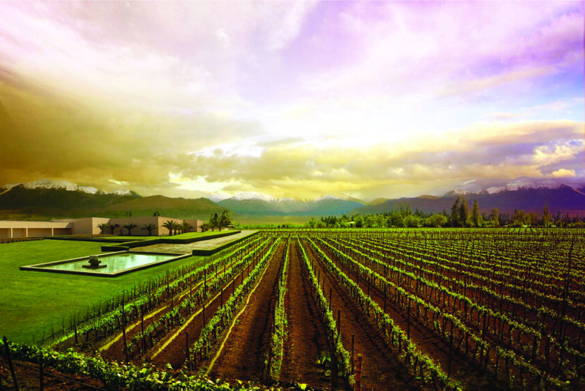 Be Coastal Magazine In the Vines with Chile’s Women Winemakers chile's women winemakers