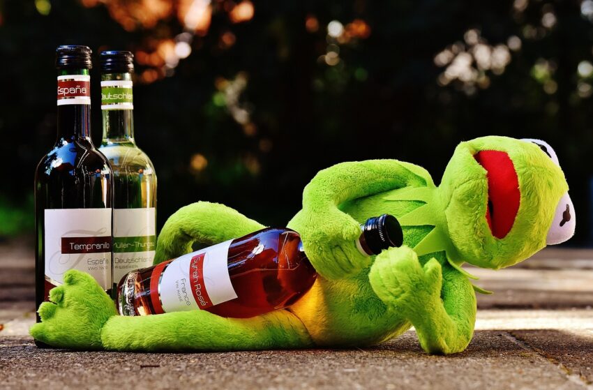 kemit the frog and a wine bottle